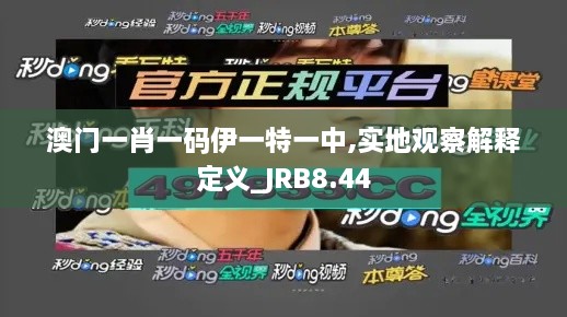 澳门一肖一码伊一特一中,实地观察解释定义_JRB8.44