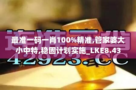 最准一码一肖100%精准,管家婆大小中特,稳固计划实施_LKE8.43