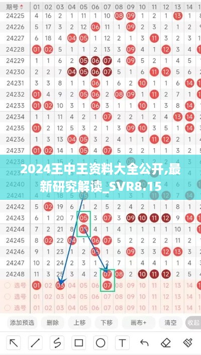 2024王中王资料大全公开,最新研究解读_SVR8.15