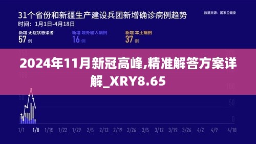 2024年11月新冠高峰,精准解答方案详解_XRY8.65