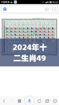 2024年十二生肖49码表,操作实践评估_OQO8.2