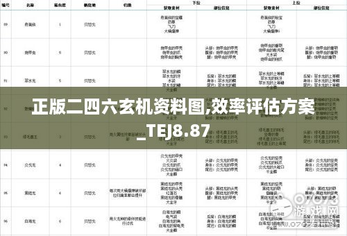 正版二四六玄机资料图,效率评估方案_TEJ8.87