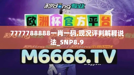 7777788888一肖一码,现况评判解释说法_SNP8.9