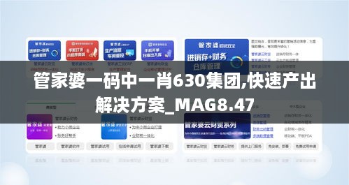 管家婆一码中一肖630集团,快速产出解决方案_MAG8.47