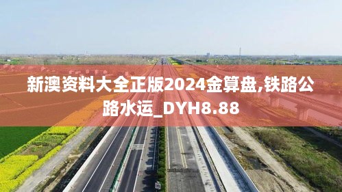 新澳资料大全正版2024金算盘,铁路公路水运_DYH8.88