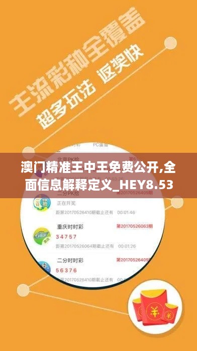 澳门精准王中王免费公开,全面信息解释定义_HEY8.53