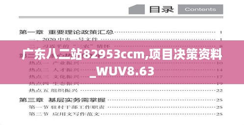 广东八二站82953ccm,项目决策资料_WUV8.63