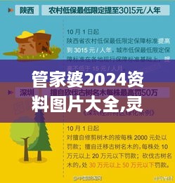 管家婆2024资料图片大全,灵活执行方案_VLT8.98