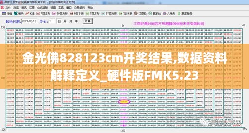 金光佛828123cm开奖结果,数据资料解释定义_硬件版FMK5.23