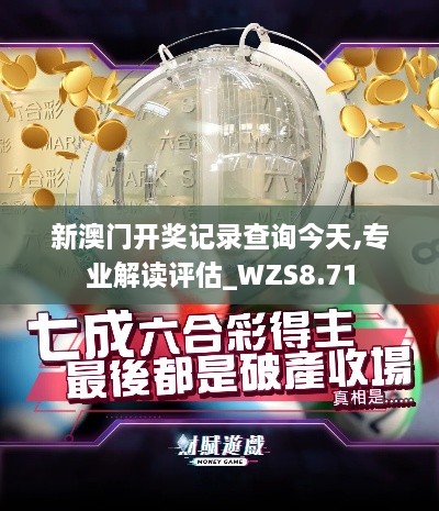 新澳门开奖记录查询今天,专业解读评估_WZS8.71