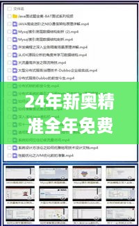 24年新奥精准全年免费资料,DNS服务_RQI8.54