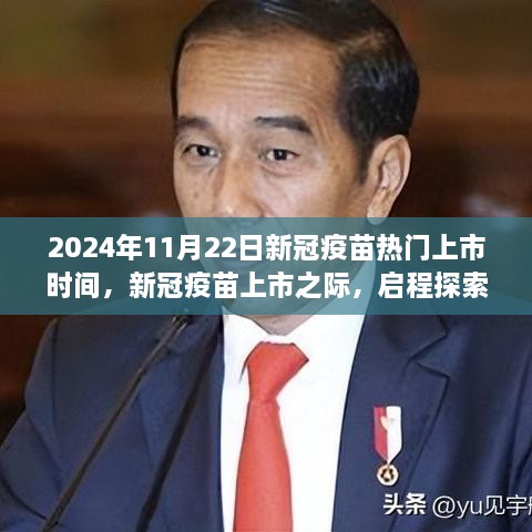 2024年11月22日新冠疫苗热门上市时间，新冠疫苗上市之际，启程探索自然美景，寻找内心的宁静与平和