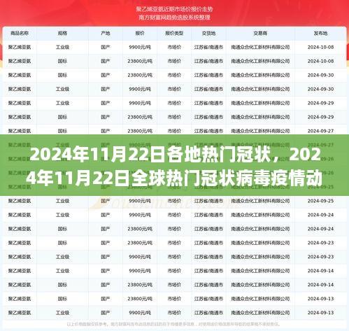 2024年11月22日各地热门冠状，2024年11月22日全球热门冠状病毒疫情动态，深度解读小红书社区最新资讯