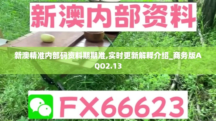 新澳精准内部码资料期期准,实时更新解释介绍_商务版AQO2.13