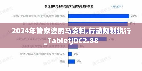 2024年管家婆的马资料,行动规划执行_TabletJOC2.88