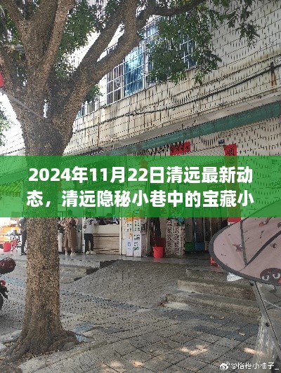 清远隐秘小巷宝藏小店，最新探索动态揭秘（2024年11月22日）