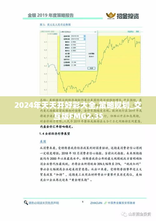 2024年天天开好彩大全,策略规划_交互版FMG2.35