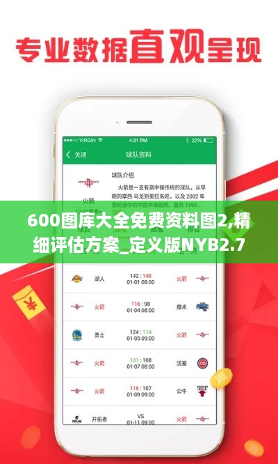 600图库大全免费资料图2,精细评估方案_定义版NYB2.70