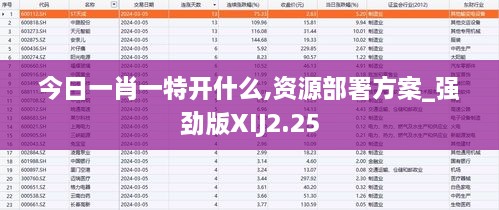 今日一肖一特开什么,资源部署方案_强劲版XIJ2.25