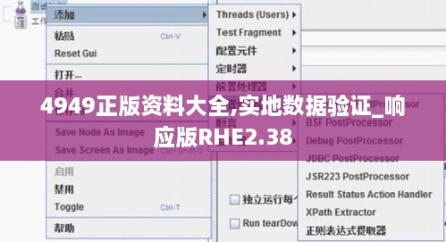 4949正版资料大全,实地数据验证_响应版RHE2.38