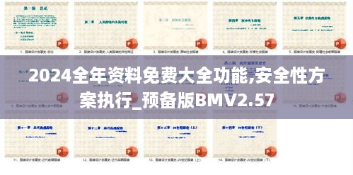 2024全年资料免费大全功能,安全性方案执行_预备版BMV2.57