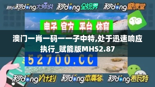 澳门一肖一码一一子中特,处于迅速响应执行_赋能版MHS2.87