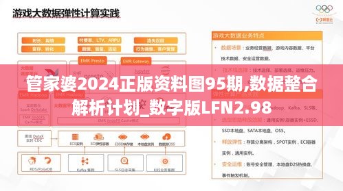 管家婆2024正版资料图95期,数据整合解析计划_数字版LFN2.98