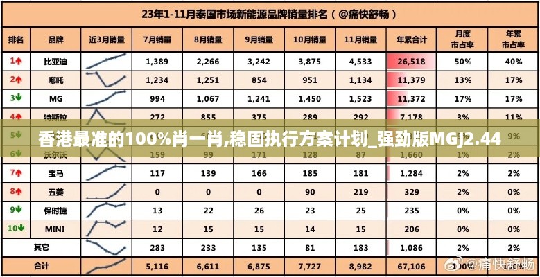 香港最准的100%肖一肖,稳固执行方案计划_强劲版MGJ2.44