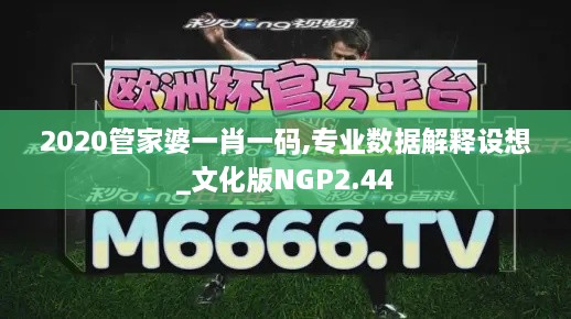 2020管家婆一肖一码,专业数据解释设想_文化版NGP2.44