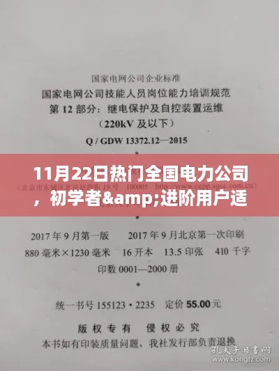 11月22日热门全国电力公司任务执行全攻略，适合初学者与进阶用户