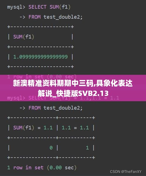 新澳精准资料期期中三码,具象化表达解说_快捷版SVB2.13