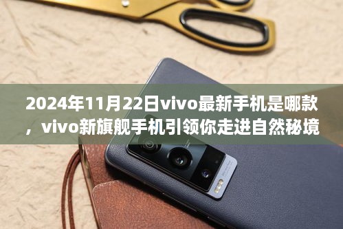 vivo新旗舰手机引领自然秘境之旅，2024年11月22日的新启程与探寻心灵宁静之旅