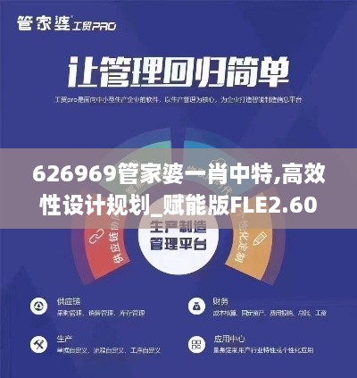 626969管家婆一肖中特,高效性设计规划_赋能版FLE2.60