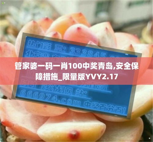 管家婆一码一肖100中奖青岛,安全保障措施_限量版YVY2.17