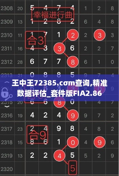 王中王72385.cσm查询,精准数据评估_套件版FIA2.86