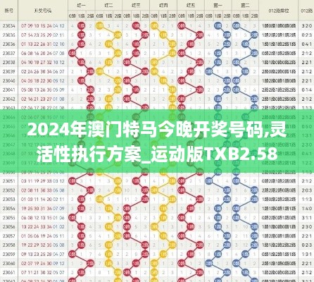 2024年澳门特马今晚开奖号码,灵活性执行方案_运动版TXB2.58