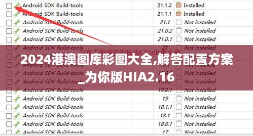 2024港澳图库彩图大全,解答配置方案_为你版HIA2.16