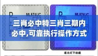 三肖必中特三肖三期内必中,可靠执行操作方式_护眼版GHW2.68