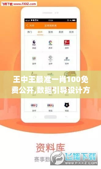 王中王最准一肖100免费公开,数据引导设计方法_影音版NJF2.81