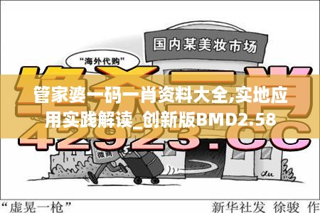 管家婆一码一肖资料大全,实地应用实践解读_创新版BMD2.58