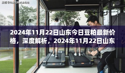 2024年11月22日山东豆粕最新价格深度解析及竞品对比