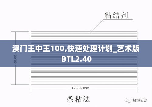 澳门王中王100,快速处理计划_艺术版BTL2.40