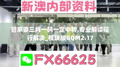 管家婆三肖一码一定中特,专业解读操行解决_模块版GQM2.17