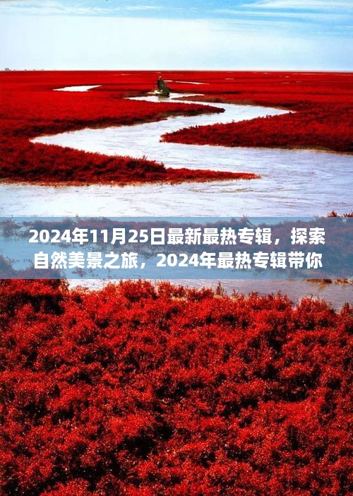 探索自然美景之旅，2024年最热专辑带你远离尘嚣的艺术之旅