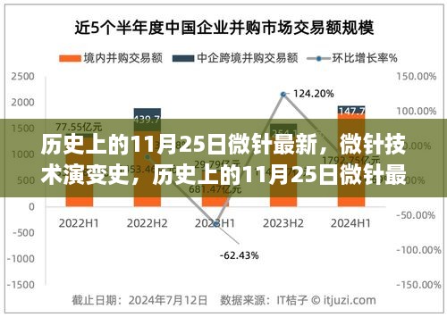 历史上的微针技术演变与最新操作指南，11月25日微针最新资讯速递