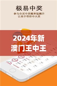 2024年新澳门王中王开奖结果,推动策略优化_散热版BZY9.71