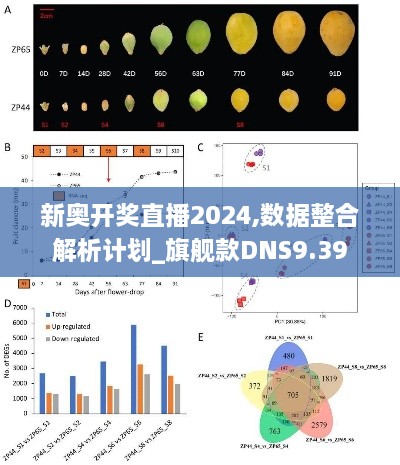 新奥开奖直播2024,数据整合解析计划_旗舰款DNS9.39