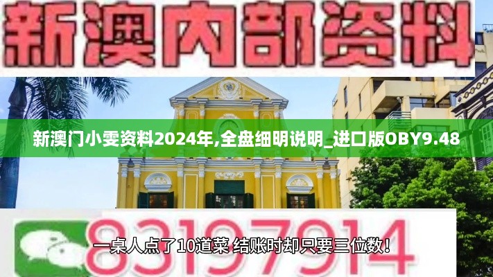 新澳门小雯资料2024年,全盘细明说明_进口版OBY9.48