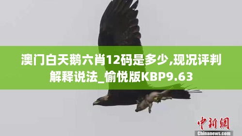 澳门白天鹅六肖12码是多少,现况评判解释说法_愉悦版KBP9.63