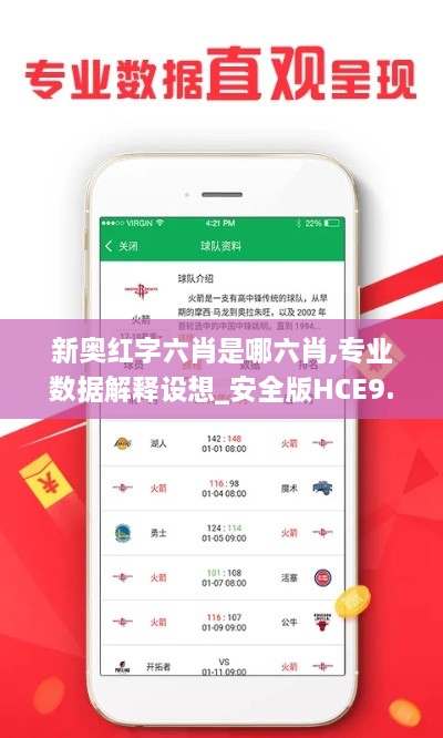 新奥红字六肖是哪六肖,专业数据解释设想_安全版HCE9.41